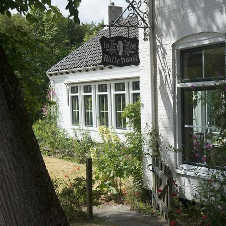 In De Witte Handt Midsland Exterior foto